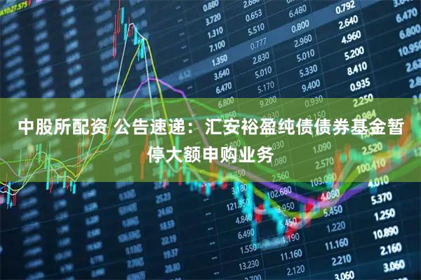 中股所配资 公告速递：汇安裕盈纯债债券基金暂停大额申购业务