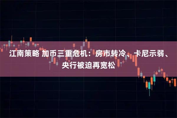 江南策略 加币三重危机：房市转冷、卡尼示弱、央行被迫再宽松