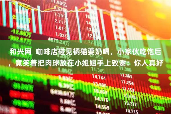 和兴网  咖啡店碰见橘猫要奶喝，小家伙吃饱后，竟笑着把肉球放在小姐姐手上致谢：你人真好
